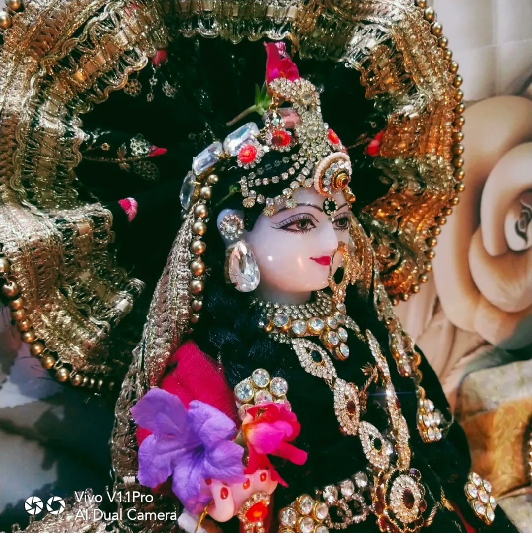AHaridasi's tweet photo. प्रगटे पुरुषोत्तम श्रीराधा, 
द्वै विध रूप बनाई री।।
उमगे दान दैन विप्रन कौं, 
जसु जो रह्यो जग छाई री। 
छीतस्वामी गिरिधर कौ चेरौ, 
जुग-जुग यह रस गाई री।। 

बरसाने में खुशियाँ छाई, 
तीन लोक की स्वामिनी आई।।🥰🥳😇 https://t.co/mD8h36ujj7