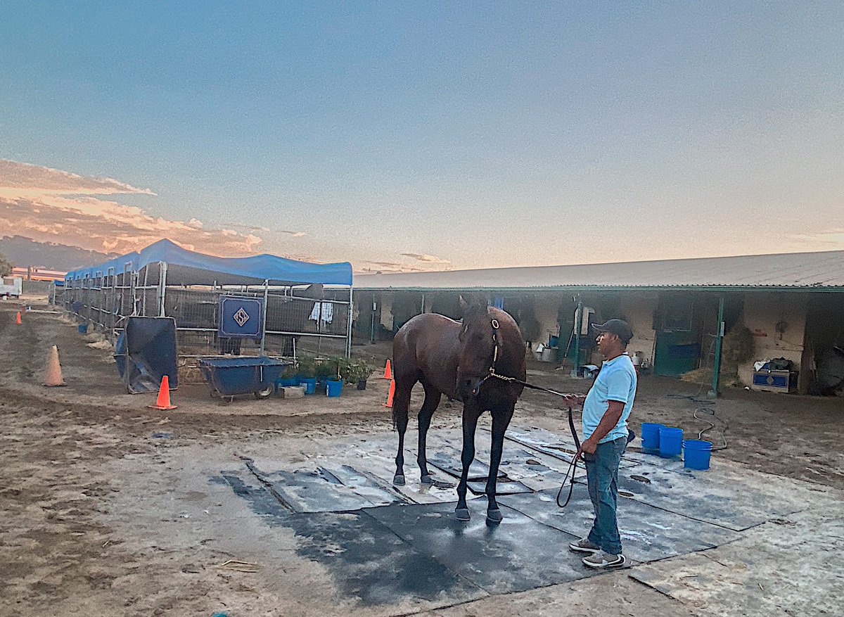 Our hearts are overfilled with pride, gratitude, and love . What he did today was beyond our expectations but not beyond what we knew he could accomplish! History was made today 
<a href="/johnwsadler/">John W. Sadler</a> <a href="/KostaHronis/">Kosta Hronis</a> <a href="/stephrosa3/">Stephanie Leal Hronis</a> <a href="/westpointtbred/">West Point Tbred</a> <a href="/woodfordracing/">Woodford Racing</a> <a href="/SienaFarmKY/">Siena Farm</a>  <a href="/MoreSummerWind/">Summer Wind Farm</a>