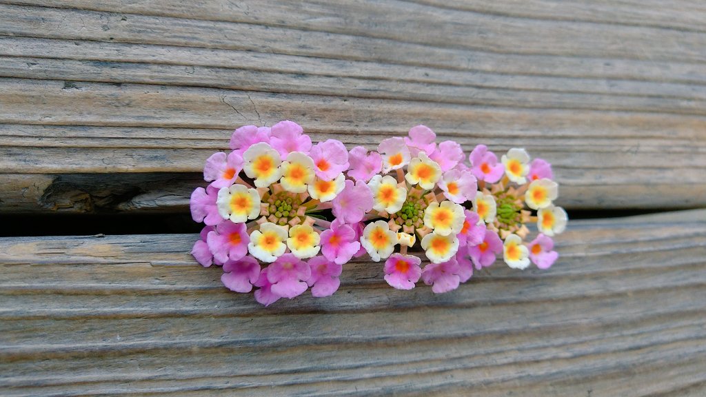 Rkdv2mndfjpdtm Rkdv2mndfjpdtm