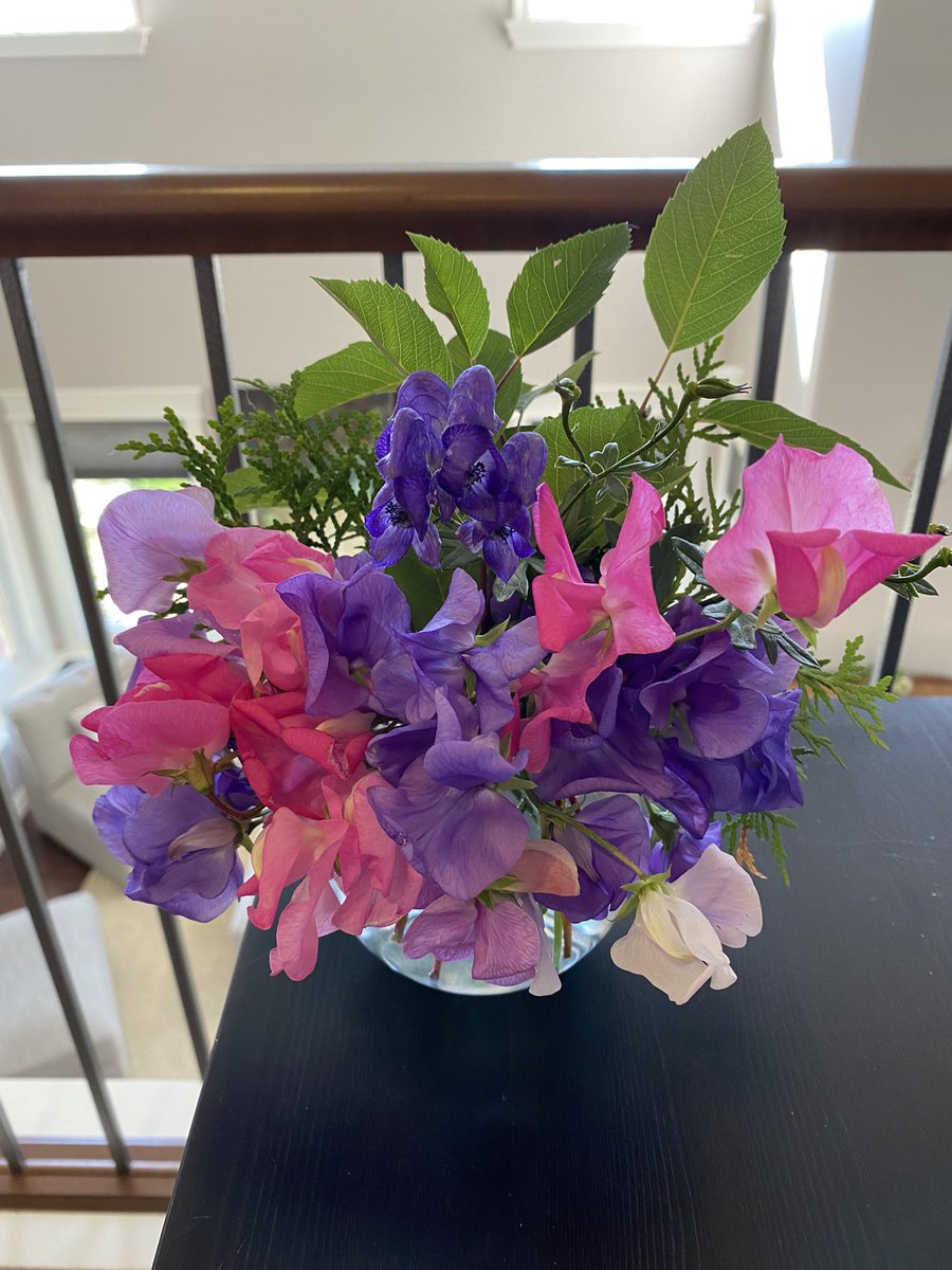 MommyMermaid_'s tweet photo. From my garden this week. @sweetpeasociety https://t.co/zRqqgDxsgT