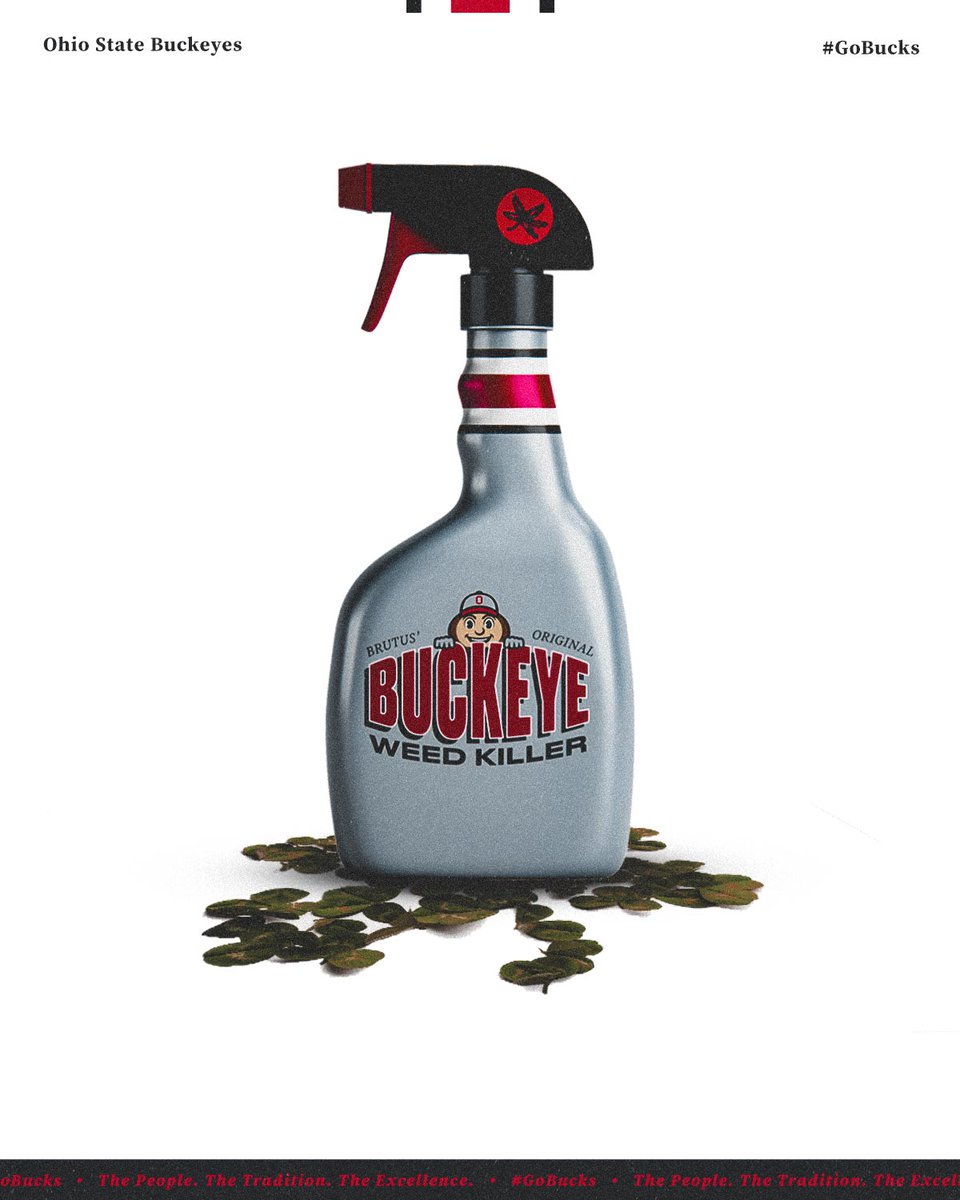 Brutus Buckeye 🌰 tweet media