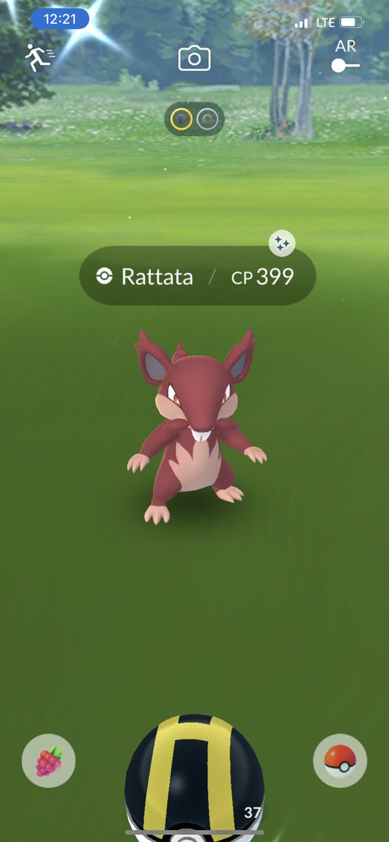 PkmnGoNeo's tweet photo. Aside from the 2 Shiny Inkay I caught, snagged my first Shiny Alolan Rattata today ✨✨✨ #PokemonGO #Pokemon #ShinyPokemon #PokemonGOApp #ShinyRattata #ポケモン　#ポケモンGO https://t.co/D6stqadPIf
