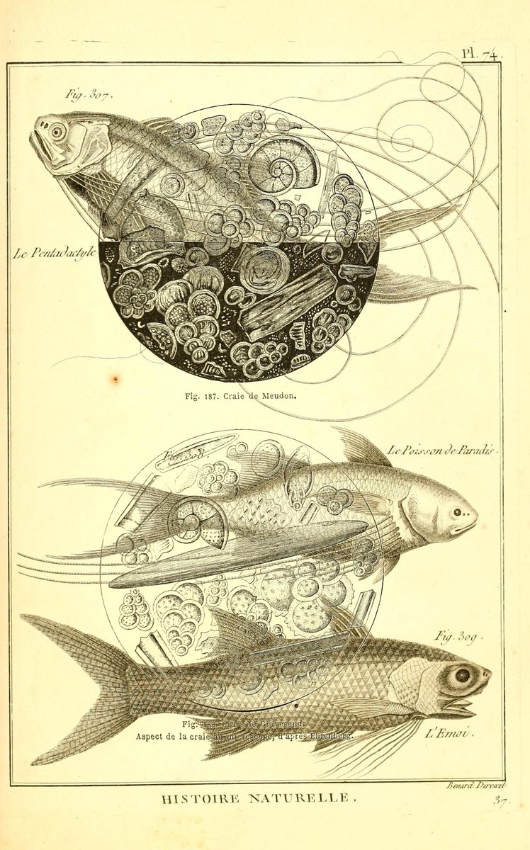PDCutup's tweet photo. La terre avant le délugeParis :L. Hac..
https://t.co/FJhwat0dpH
Tableau encyclopédique et méthodique ..
https://t.co/Gl7m2zTHxe https://t.co/Uldg75FpYb