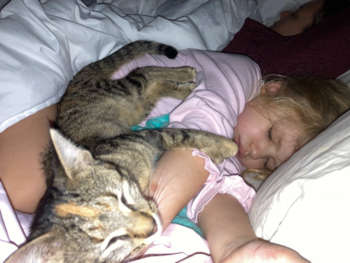 Sarah J Biggs tweet media