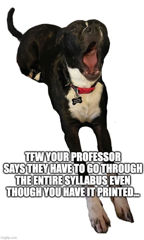 MaeveGoesMoo's tweet photo. Everyone knows syllabus week is the best though... #MCO335 #newsemester https://t.co/rAO0x1OfPz