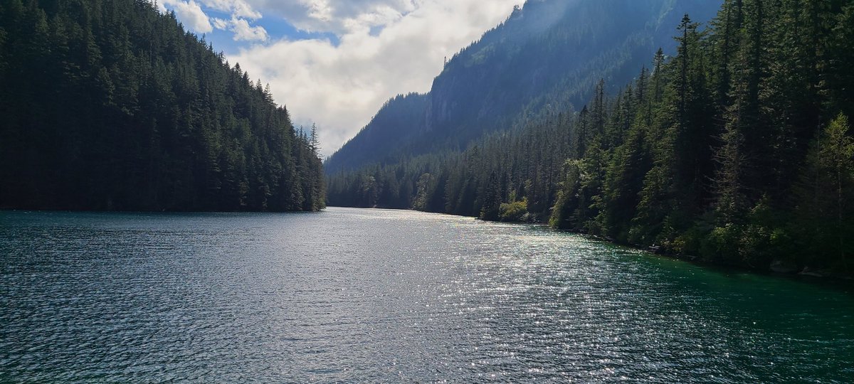 Jade Constantineau tweet media