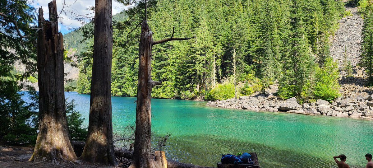 Jade Constantineau tweet media