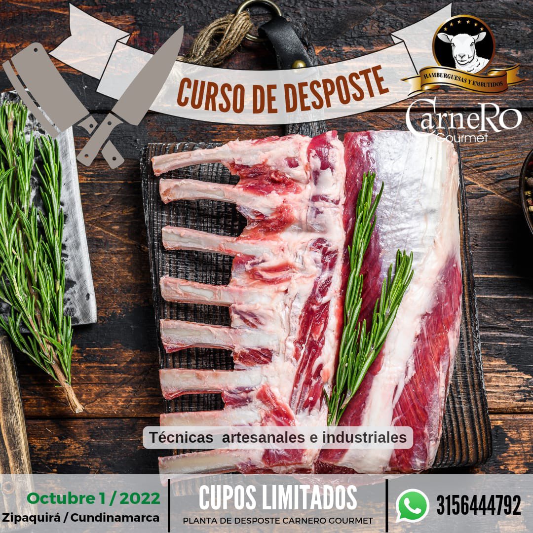 Carnero_Gourmet's tweet photo. Aprenda de los mejores !!! https://t.co/vRr8OvaU5D
