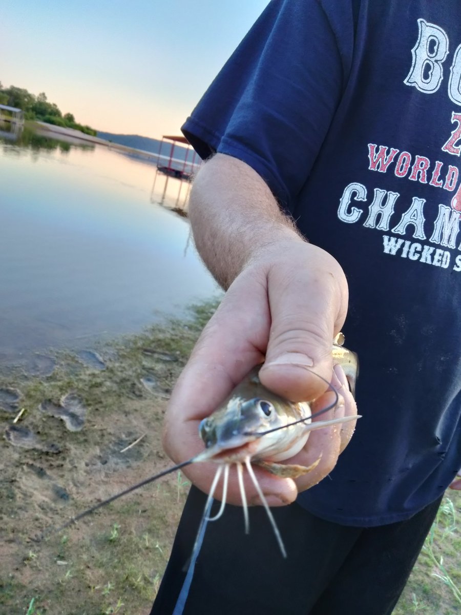ElizabethTrou14's tweet photo. Early bird gets the fish. #Oklahoma #lakeeufaula caught the first fish. https://t.co/stnb1VKpes