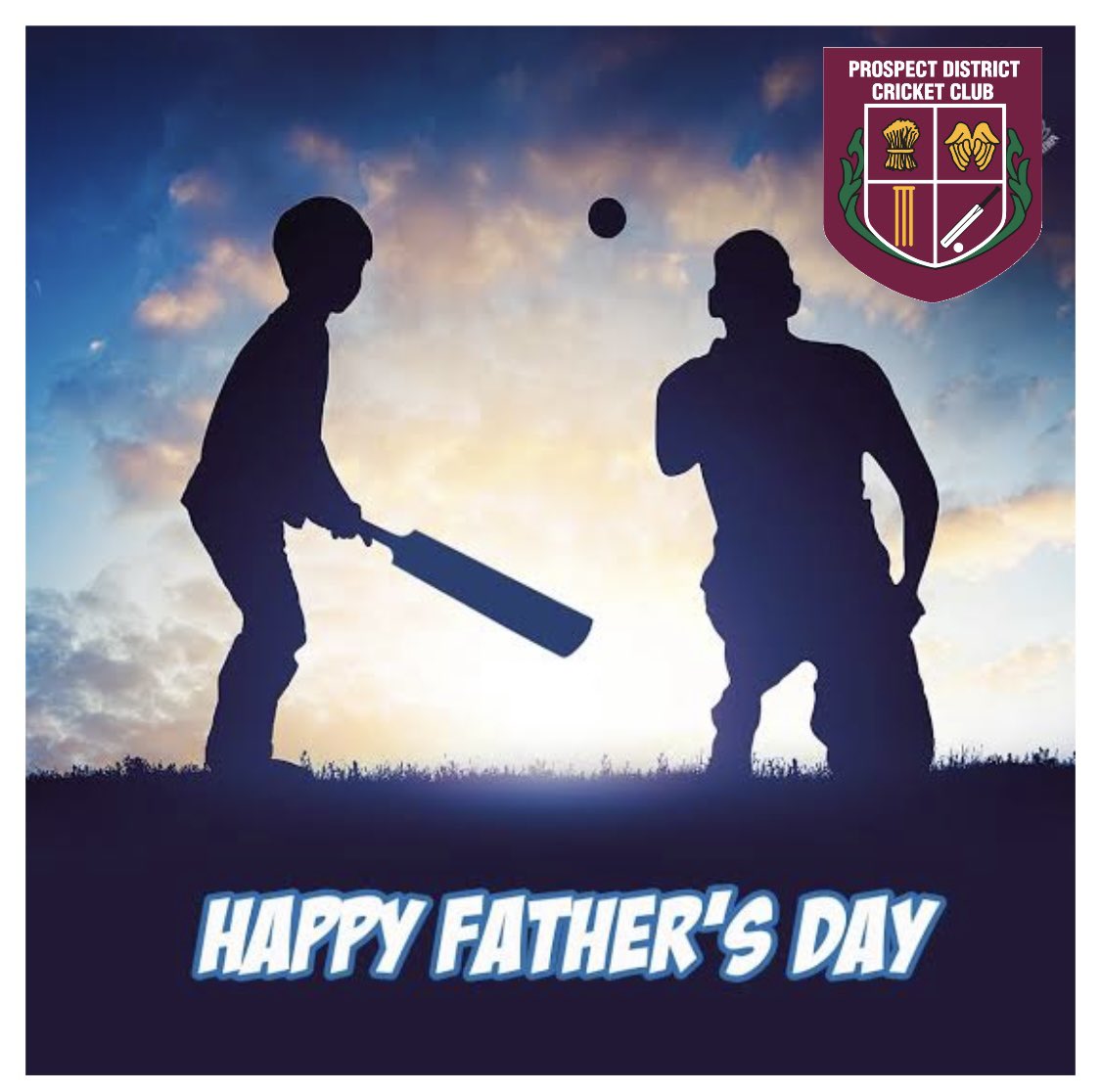 Day 4 is 4 the Dad’s. 

HAPPY FATHER’S DAY to all our Pirate dads and a huge thank you to the other primary care givers, providing the fatherly role. ❤️U 
❤️🏴‍☠️🏏