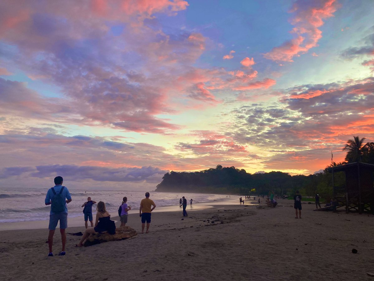 Elvis 🐃 tweet media