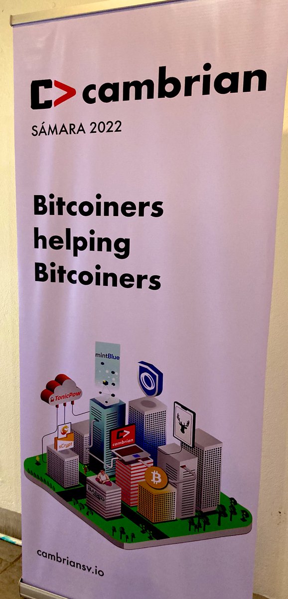 Elvis 🐃 tweet media