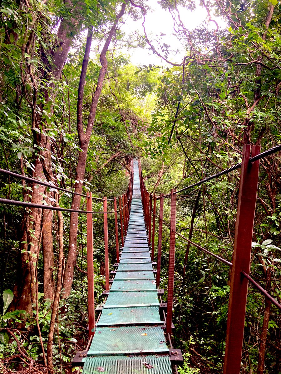 Elvis 🐃 tweet media