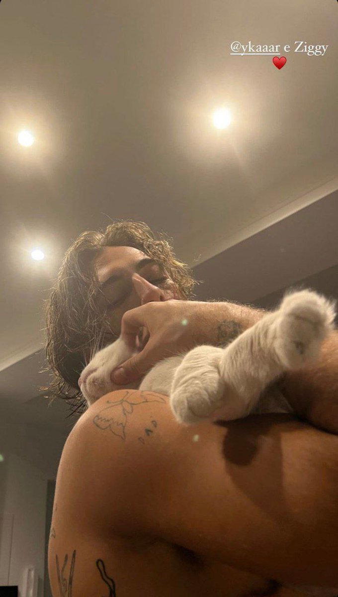 ilnomedelvic's tweet image. i want a supportive boyfriend who is a rockstar and cat person and a boob lover also kisses me in his concert in front of the crowd, is this too much to ask