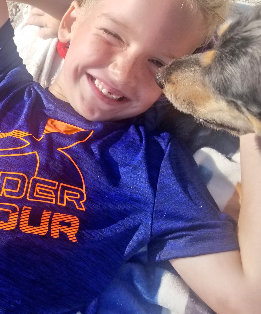 CandiceAustin24's tweet photo. Gibson is living his best life🐶 Soaking up the last days of summer holidays & making memories ⛱☀️
#HotOut #EveryDayIsABeachDay
#vitaminD #smiles #Oakville #Ontario #DogsofTwittter https://t.co/98ttZEInB2