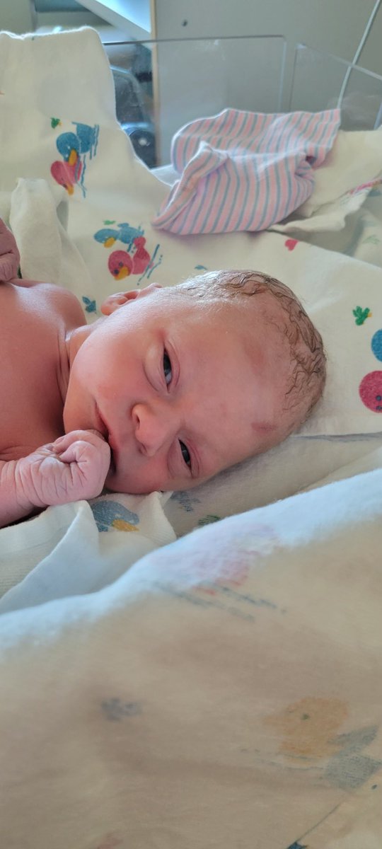 Rick Tegtmeier tweet media