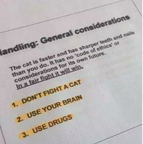 SteveStuWill's tweet image. From a veterinary textbook 😂