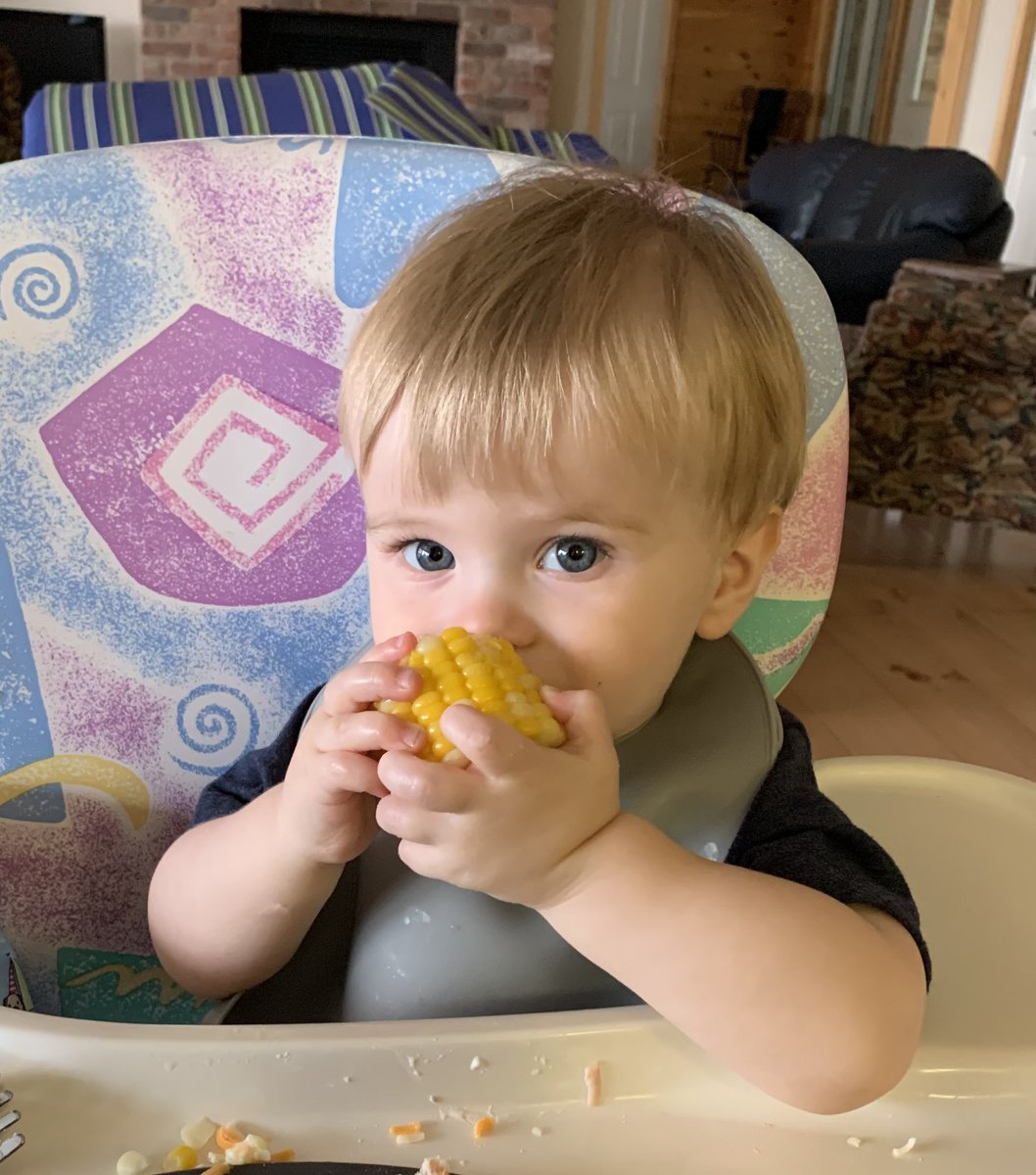 ahildebast's tweet photo. Baby’s first @HerrlesMarket corn! https://t.co/X0T3lRy1QH