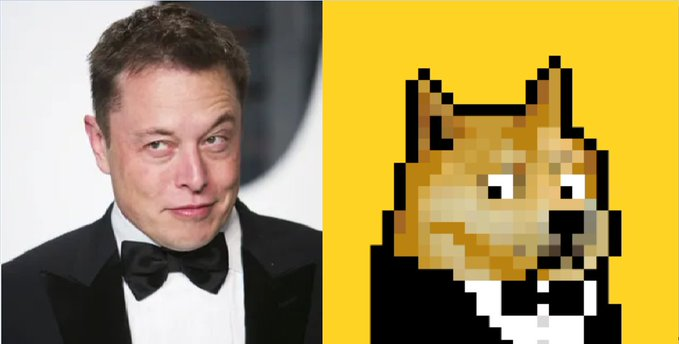 reallabs_one's tweet photo. The #RealDogePunks Doppelganger contest! 🐶🥳

Comment with your best #RDP Doppelganger  
Original left, RDP right, tag the person 

The community will vote for the best twin in 7 days in our TG! https://t.co/CDpslt9N9u
Most votes wins 1 x RDP 

First entry by @ApeGod12 @elonmusk https://t.co/Tgqyh995rh