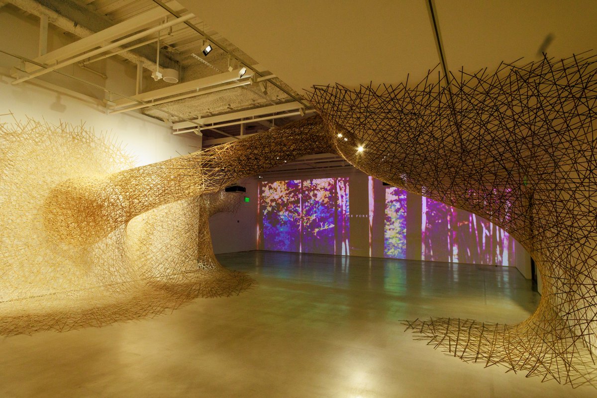 JHLosAngeles's tweet photo. Our exhibition, LIFE CYCLES | A Bamboo Exploration with Tanabe Chikuunsai IV, is a sight to behold in person, but you can also experience it virtually! Take a virtual tour through our gallery & learn more about #bamboo here: https://t.co/V4suH5Mvbp
#JHLABamboo #BambooLifeCycles https://t.co/aZM5xUKdgN