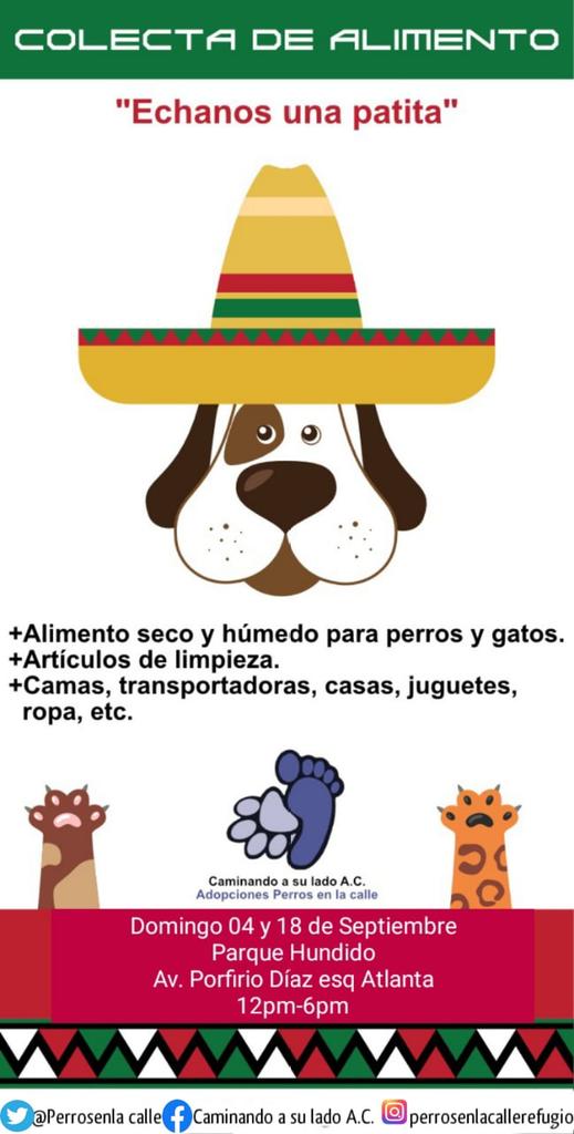 Perrosenlacalle tweet picture