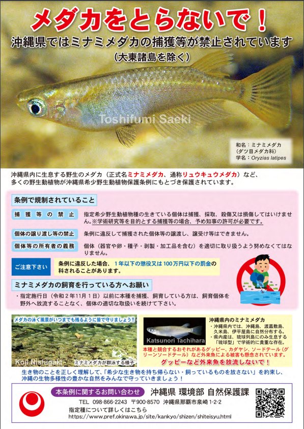 FBの投稿つながりから、沖縄県希少野生動物保護条例で沖縄在来のミナミ