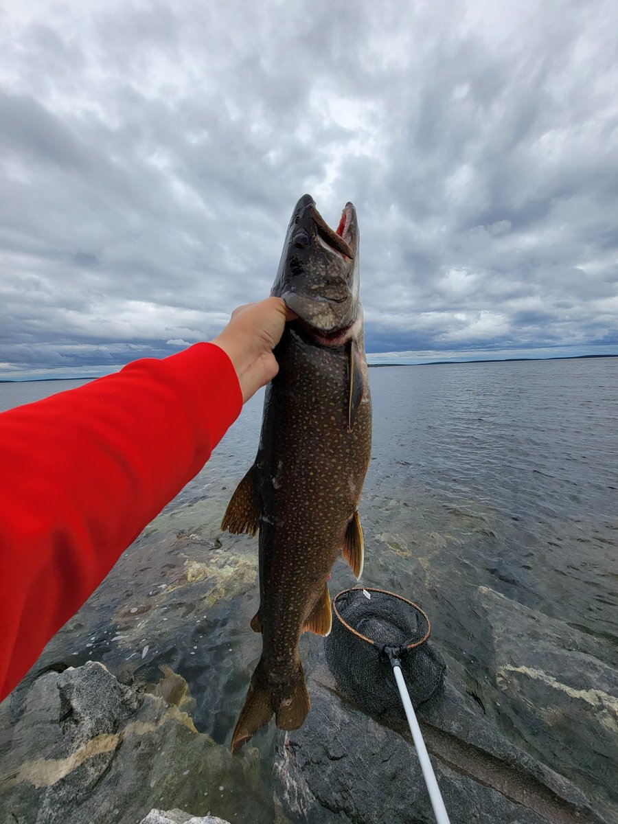 BessieJHouse's tweet photo. Lake trout fishing in Caniapiscau #monsterlakers #caniapiscau #laketrout https://t.co/tdJanii3D8