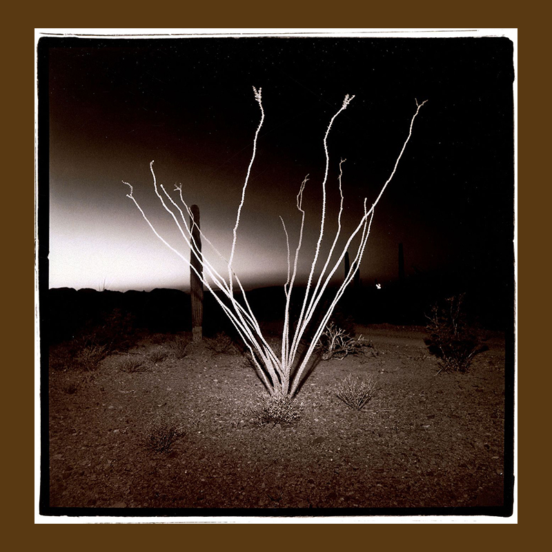 Kris Graves Projects NFT tweet media