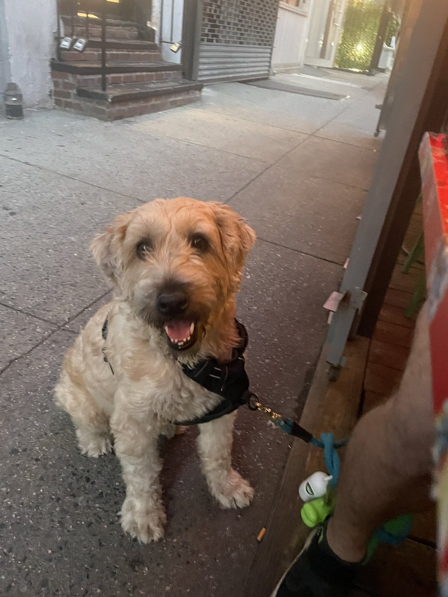 ShawnReynolds_'s tweet photo. Dinner with Fin! #finner https://t.co/7aPM7eHksr