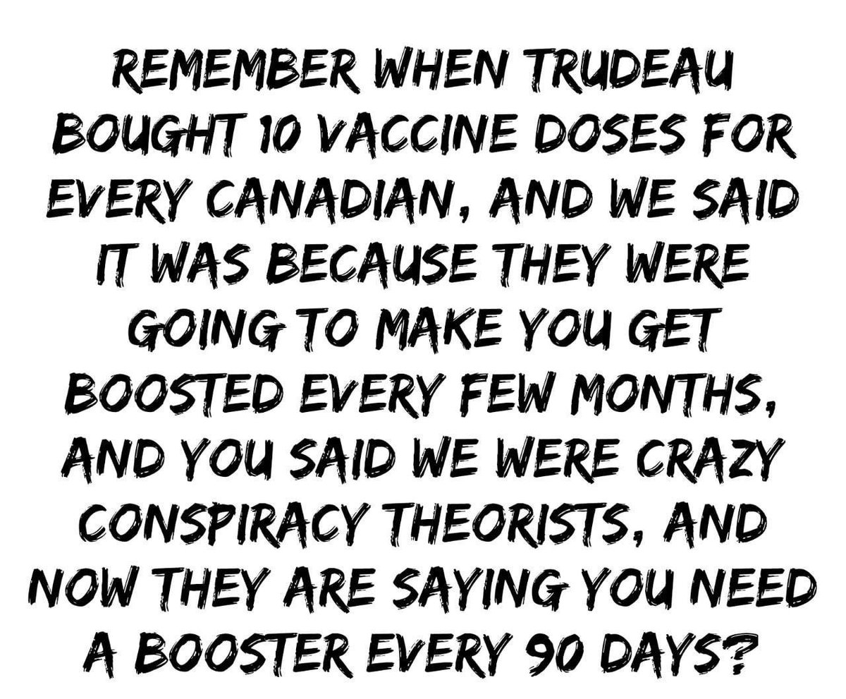 ❀ Annabelle Laferrière ❀ tweet media