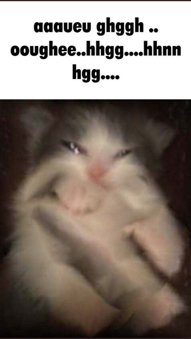 imntcreativeE's tweet photo. Didnt even say goodnight https://t.co/nNqbzRE6vs