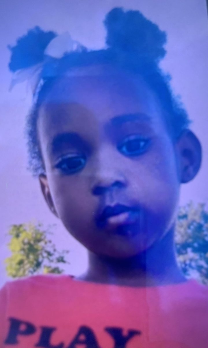 Hamilton Police are searching for a missing 4-year-old at Binbrook Conservation area in #HamOnt.

Zahra Ousmane has black hair in a bun, and is wearing a white shirt and blue shorts. 

If seen, please call 905-546-3887. There will be a heavy police presence in the area.
