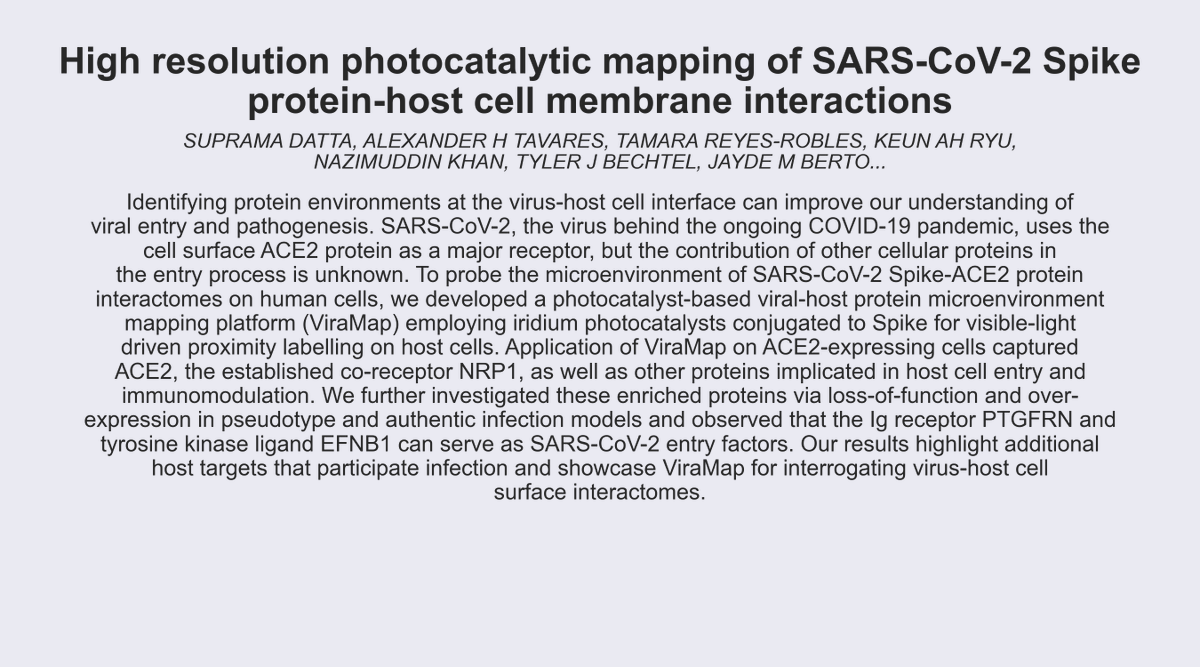 COVID-19_arXiv tweet media