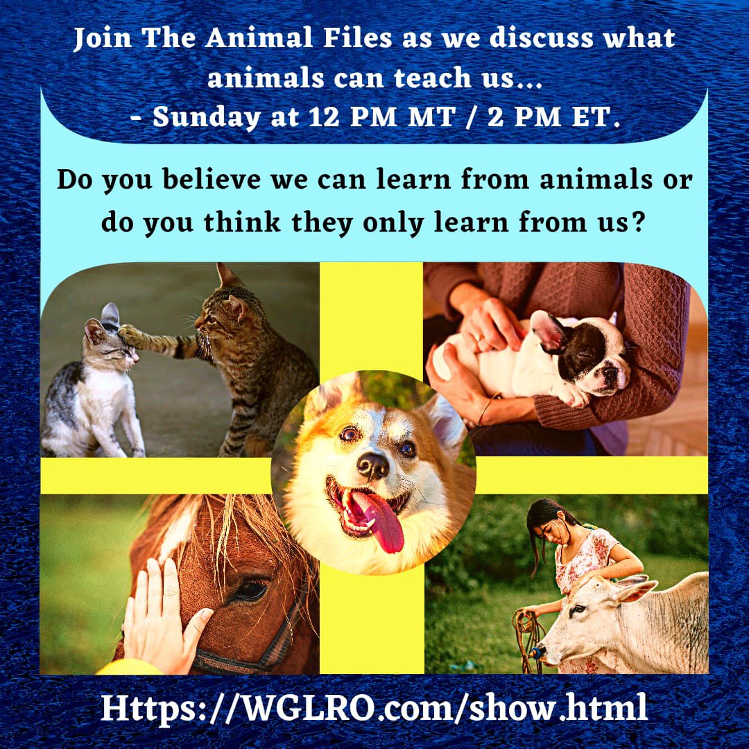The Animal Files Podcast (@TheAnimalFiles) / Twitter The Animal Files Podcast (@TheAnimalFiles) / Twitter