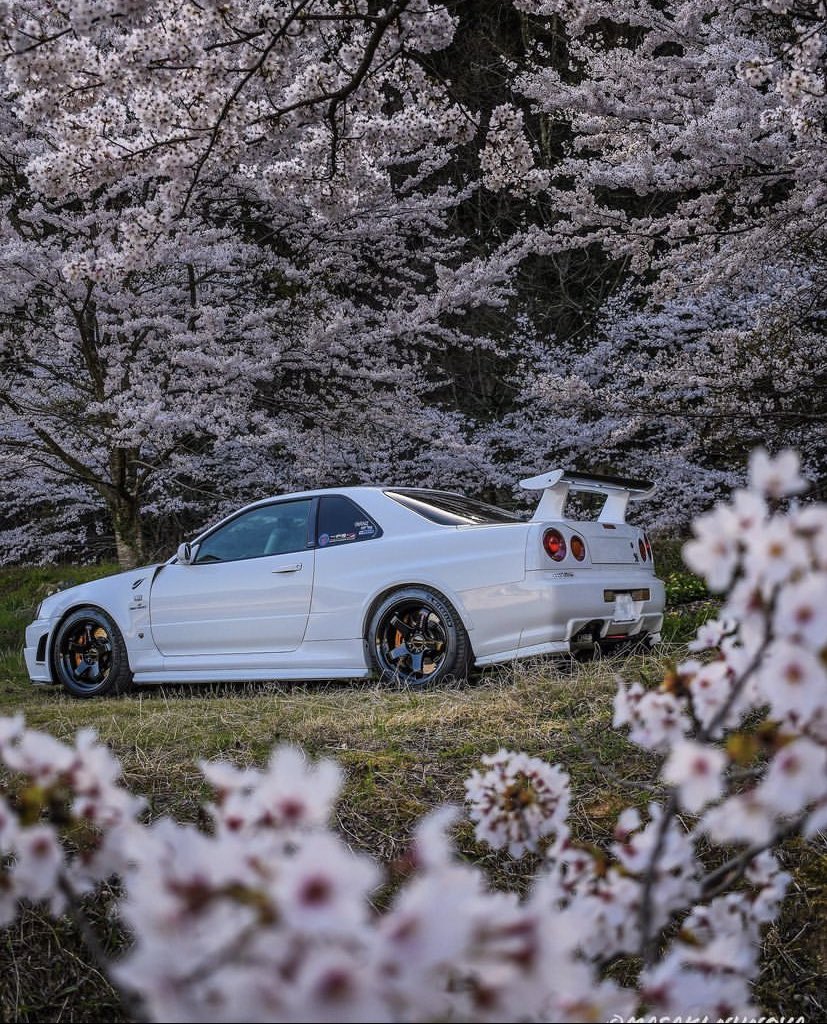 SlvmmedNation's tweet photo. something about GTRs and Cherry Blossoms 🇯🇵 🌸 https://t.co/ichVNXw5oA