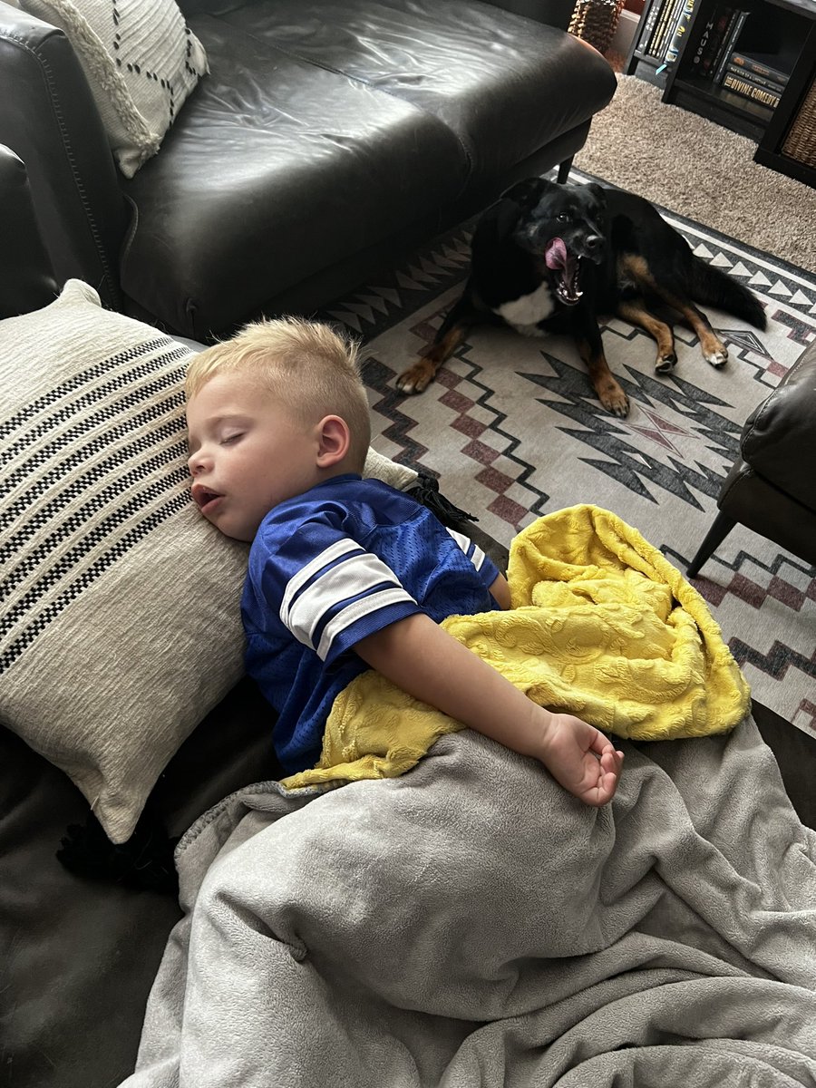 DavidAhlman's tweet photo. This #BYUFootball game in one photo. 😂🤣 #BYUvsUSF https://t.co/ECKJKc47ue