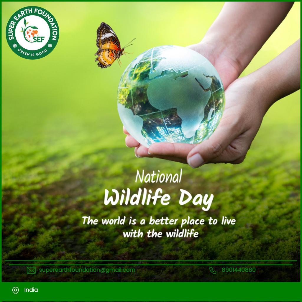 sef_ngo's tweet photo. We should protect wildlife for many reasons. It is a source of inspiration. It nurtures a sense of wonder. It is integral to the balance of nature. 
#nationalwildlifeday #wildlifeheritage #wildlife @WWF @WWFINDIA @WWF_Arctic https://t.co/piYOA6kShu