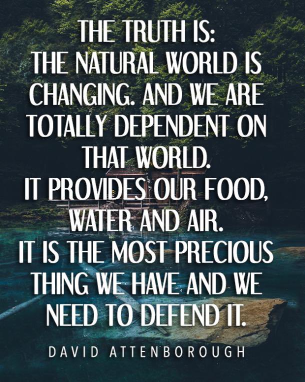 barlyn108's tweet photo. @ToewsforAlberta #NeverVoteConservative #neverjean #neverdanielle #nevertoews #donttrusttheucp #leavemycpp #wherethemoney #saveourplanet https://t.co/Ufl8DB9RTp