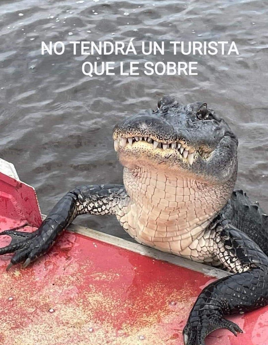 chesterditutti's tweet photo. https://t.co/j3yz6uoois
