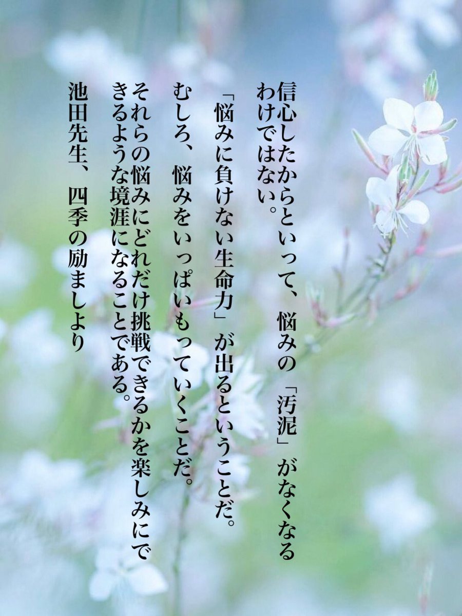 hima1118wari's tweet photo. 信心したからといって、悩みの「汚泥」が
なくなるわけではない。

「悩みに負けない生命力」が出るということだ。

むしろ、悩みをいっぱいもっていくことだ。

それらの悩みにどれだけ挑戦できるかを楽しみにできるような境涯になることである。

池田先生、四季���励ましより https://t.co/jkW0emUxaG