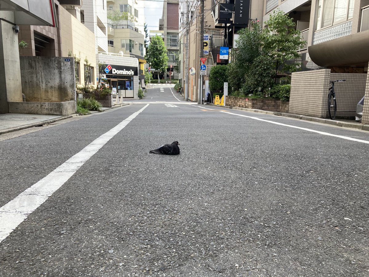 appare_beatmake's tweet photo. そこおったら4ぬで https://t.co/OqBpVAQeT1