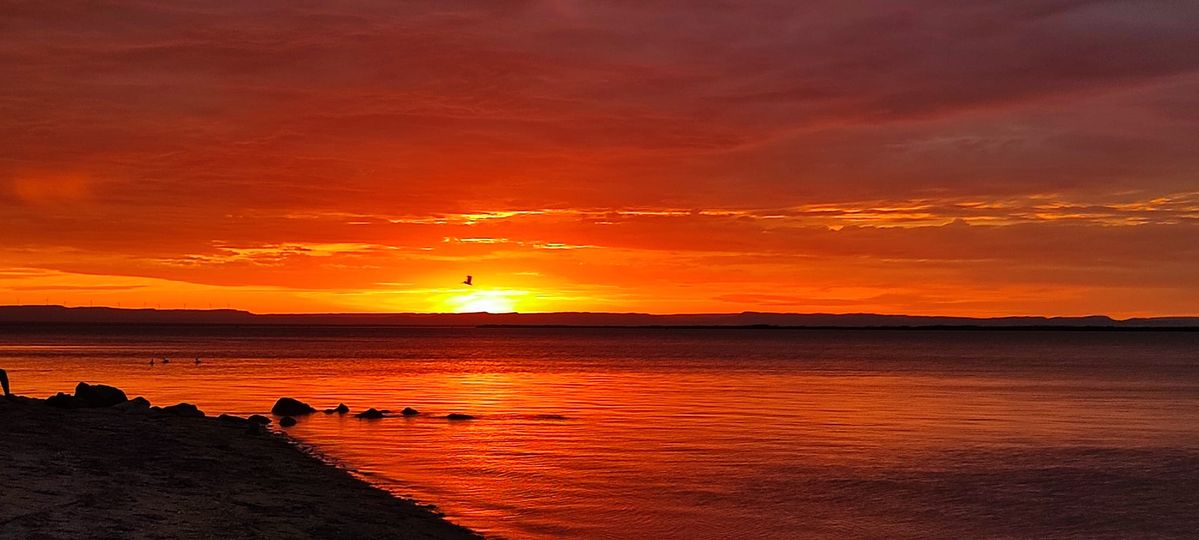 Baja Photo tweet media