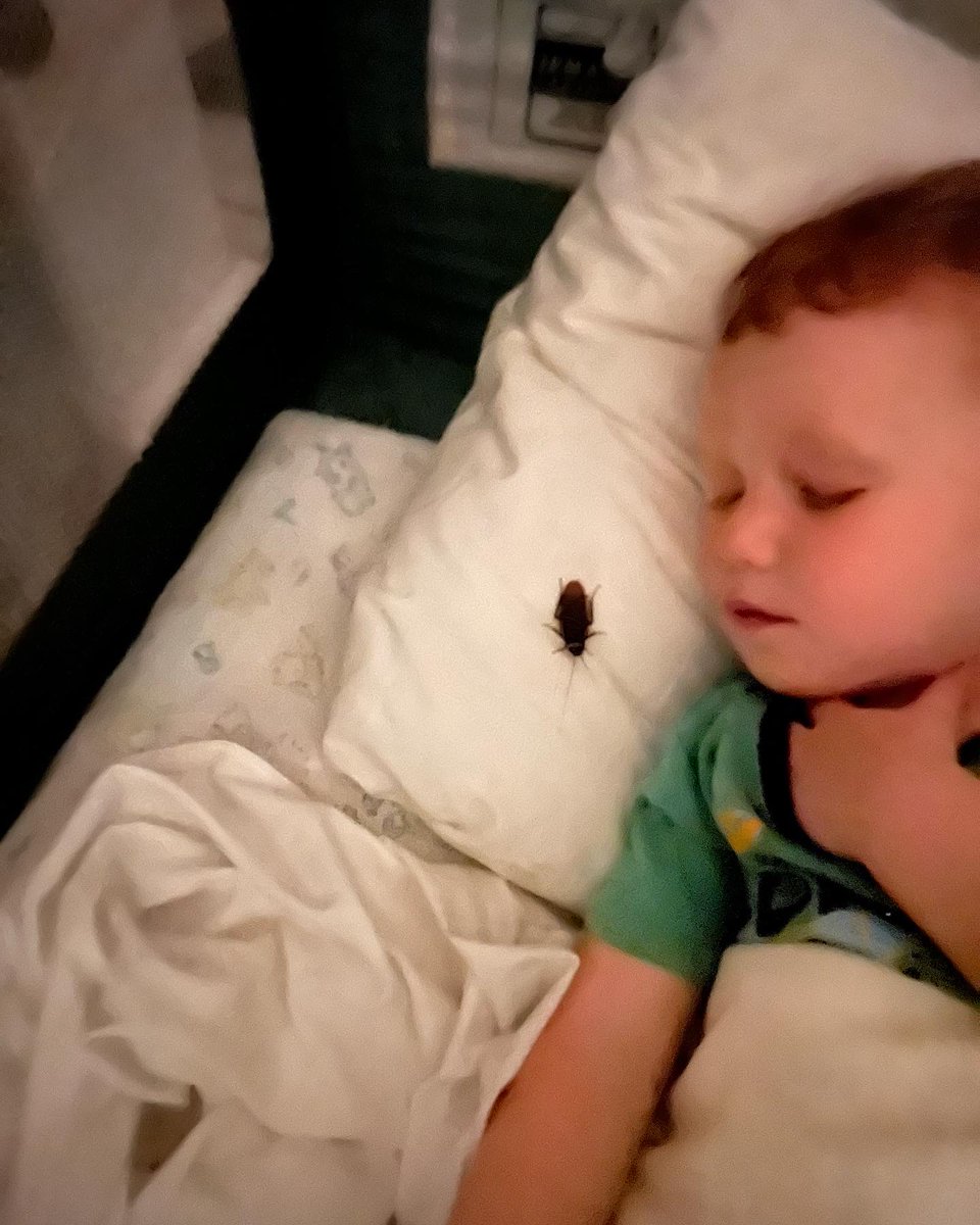 Heather McMahon tweet media