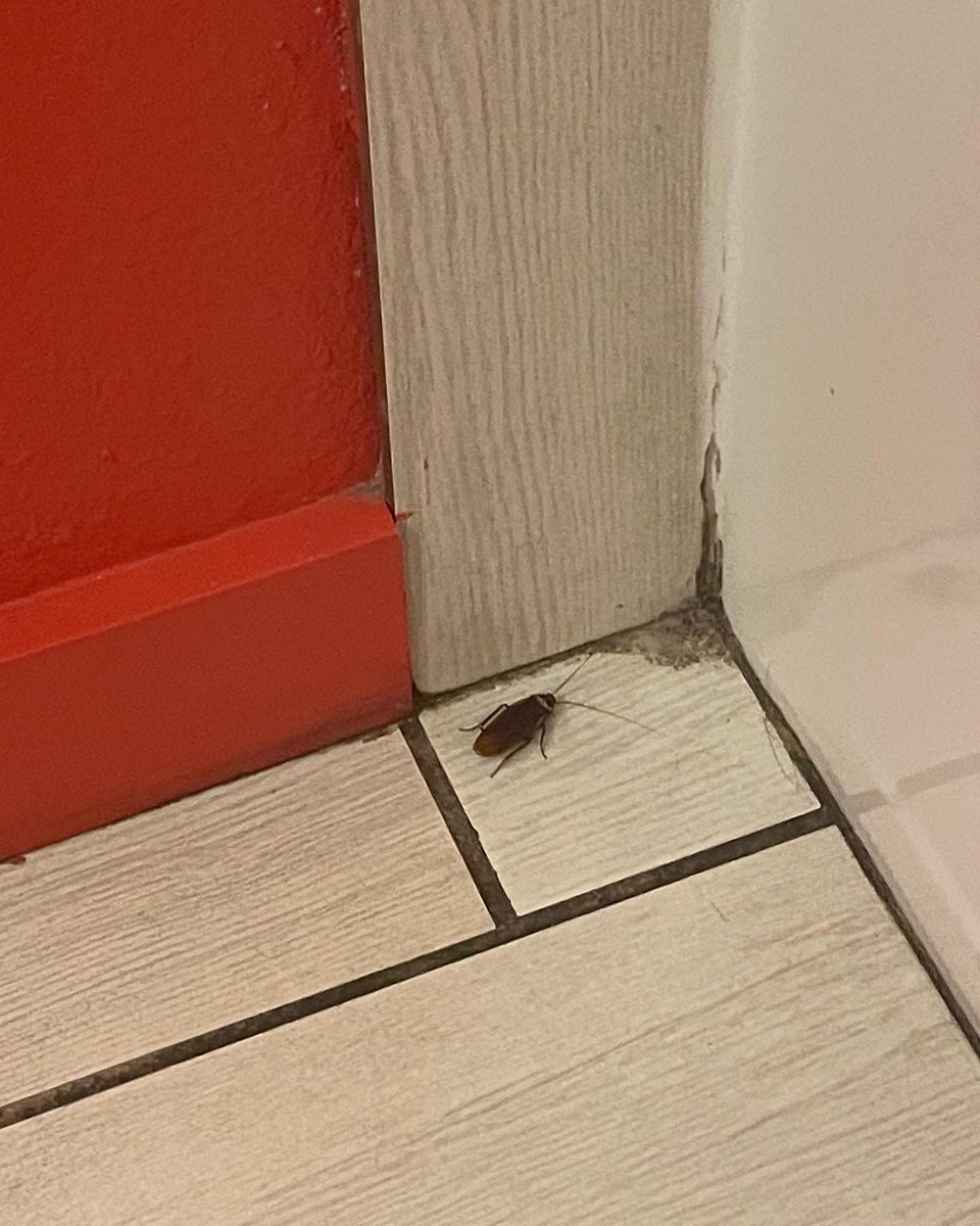 Heather McMahon tweet media