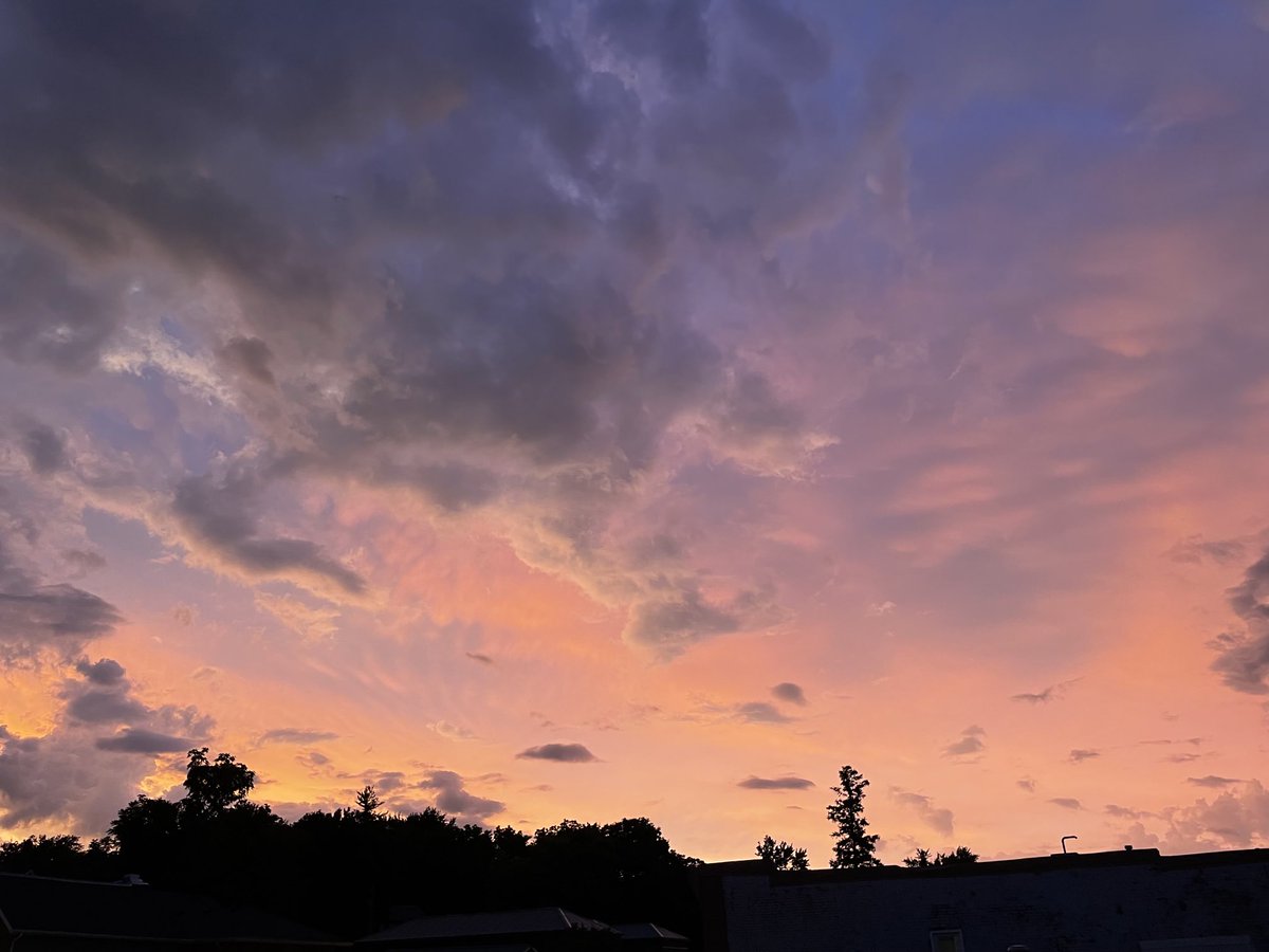 timothymphares's tweet image. 