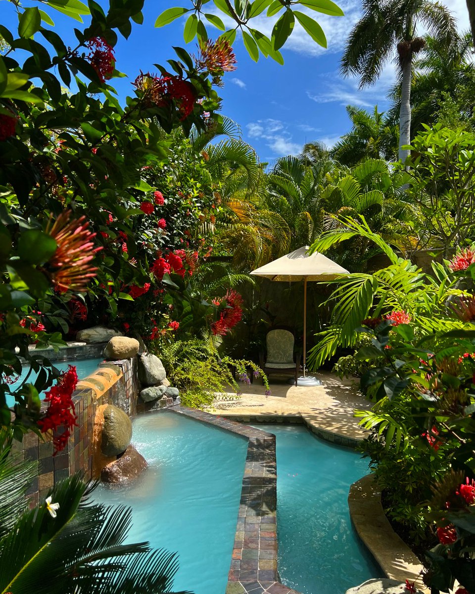 HalfMoonJamaica's tweet photo. Natural revival awaits at our spa; not to mention, seclusion and massage therapies that make you feel as if you're melting into bliss.

Residents of Jamaica enjoy 30% savings at Fern Tree Spa.

#VisitJamaica #HalfMoonResort #LuxuryTravel https://t.co/oQXaBhYyHg