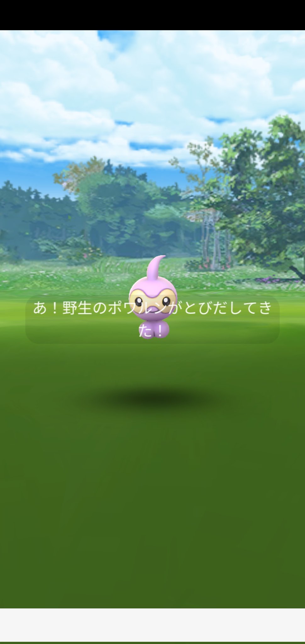 ポワルン Twitter Search Twitter