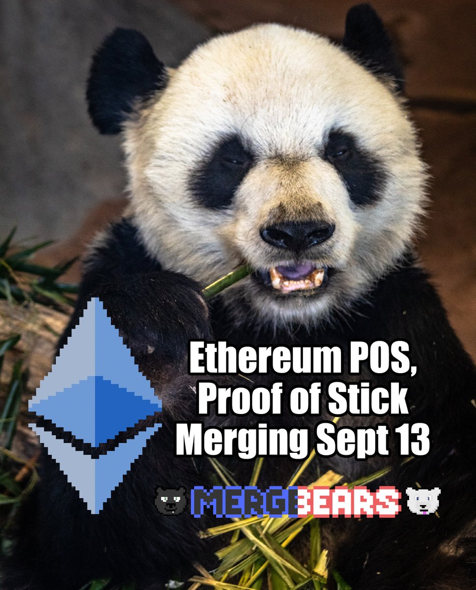 MergeBears's tweet photo. Imagine chewing on bamboo. Wtf Pandas! 🐼🐼🐼

#ETHMerge #NFTdrop #MergeBears https://t.co/nbfkC02MVH