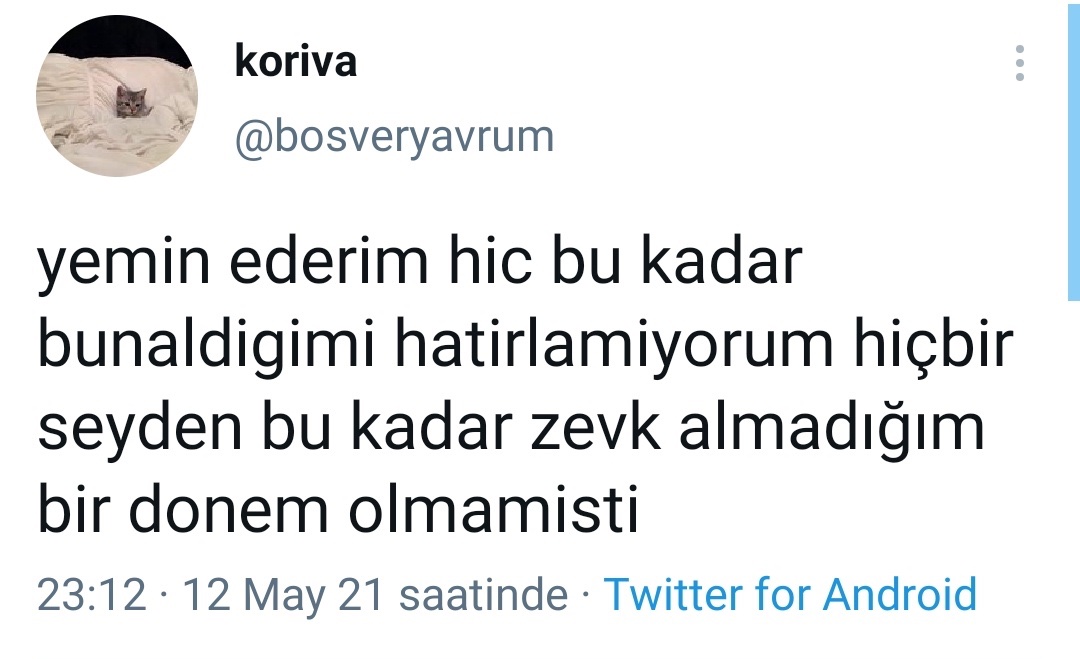 Alnı Öpülesi Tivitler (@alniopulesitivt) on Twitter photo 