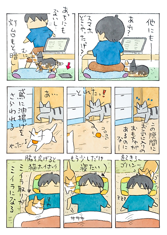 クイズ! 猫景色│フェリシモ猫部 https://t.co/OHVn4pGorY 